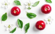 Lutheran Ladies Event